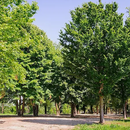 Agriturismo Serena *