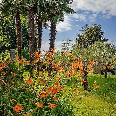Serena Vigonovo (Veneto)