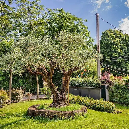 Κατάλυμα σε φάρμα Serena Vigonovo (Veneto)